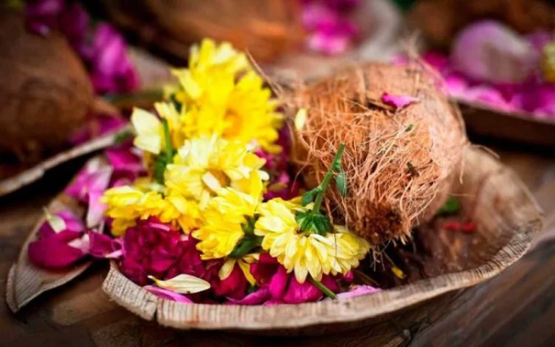 coconut-flower
